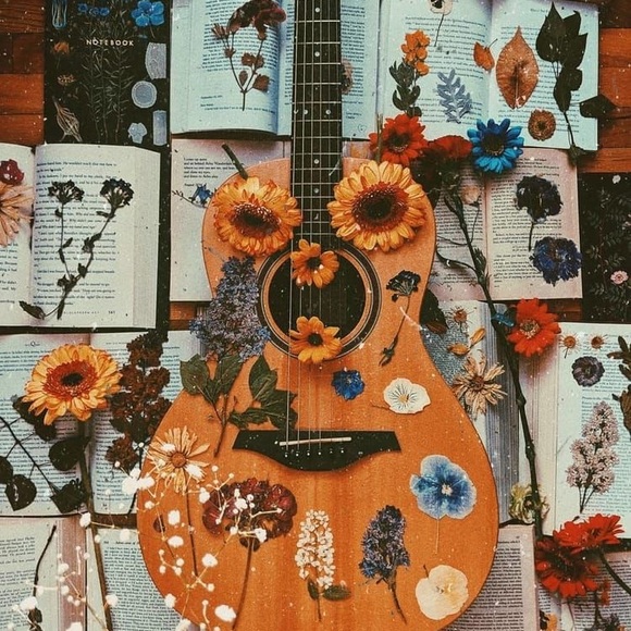 Meet your Posher, Natalie - Picture 1 of 1